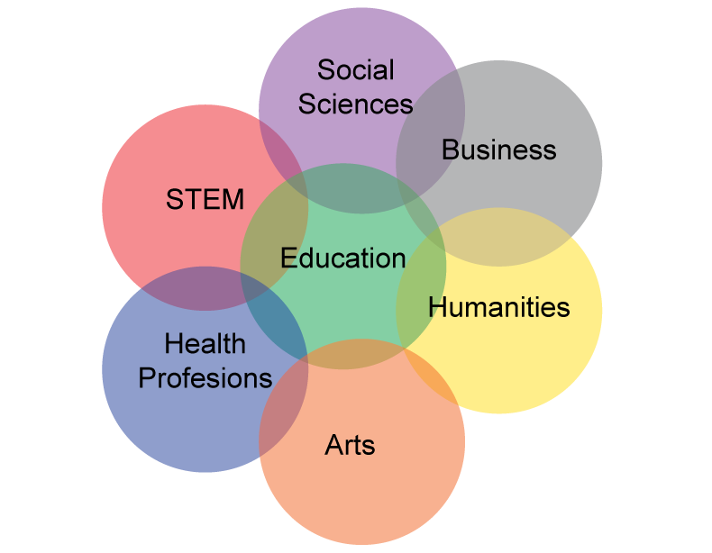 Focus Areas Overview Complete College Georgia