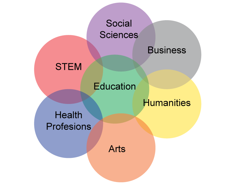 Seven focus areas: Business, Social Sciences, STEM, Humanities, Education, Health Professions, Education, and Arts